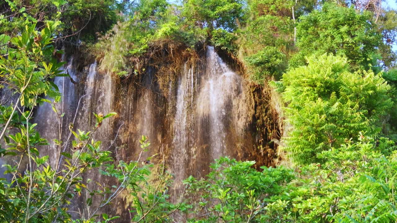 A serene waterfall flows through vibrant foliage capturing nature's beauty
