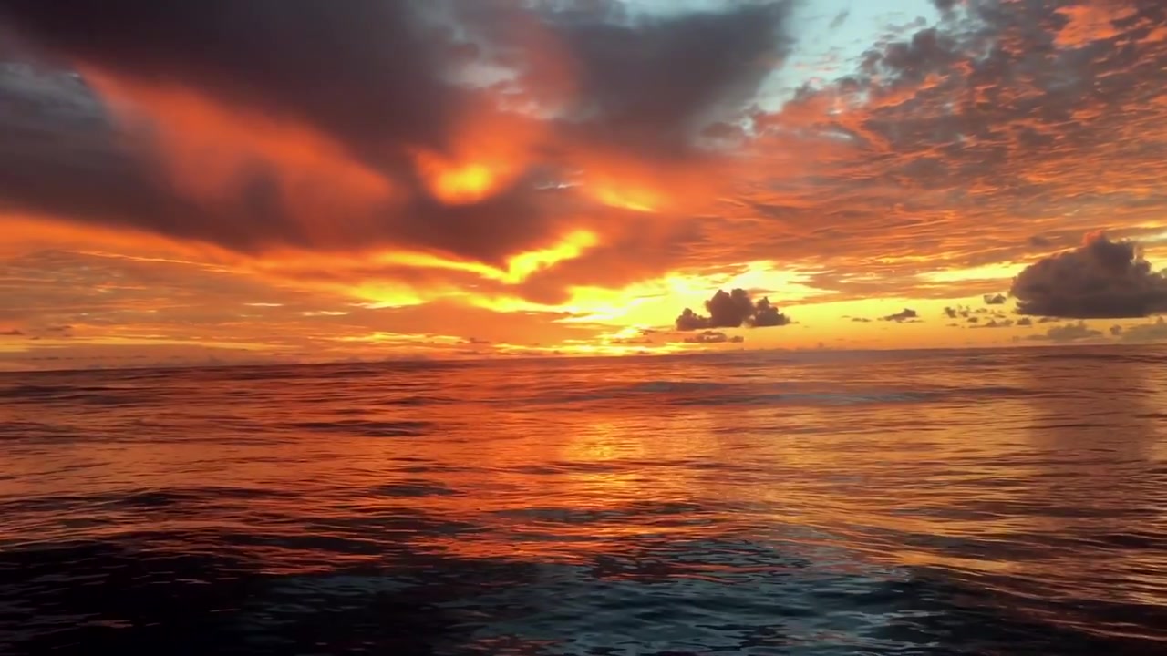 Matahari terbenam musim panas yang romantis dan penuh warna di laut. Pemandangan musim panas yang megah. Menjelajahi keindahan dunia, perjalanan, liburan, rekreasi.
