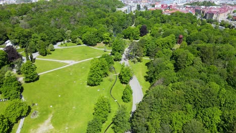 drone ascendiendo a través de los exuberantes paisajes verdes del parque en slottskogen, gotemburgo, suecia - disparo de drone