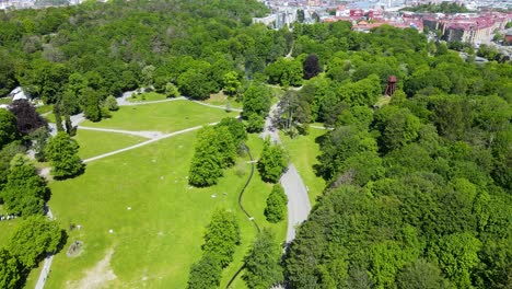 drone ascending through the lush green park landscapes in slottskogen, gothenburg, sweden - drone shot