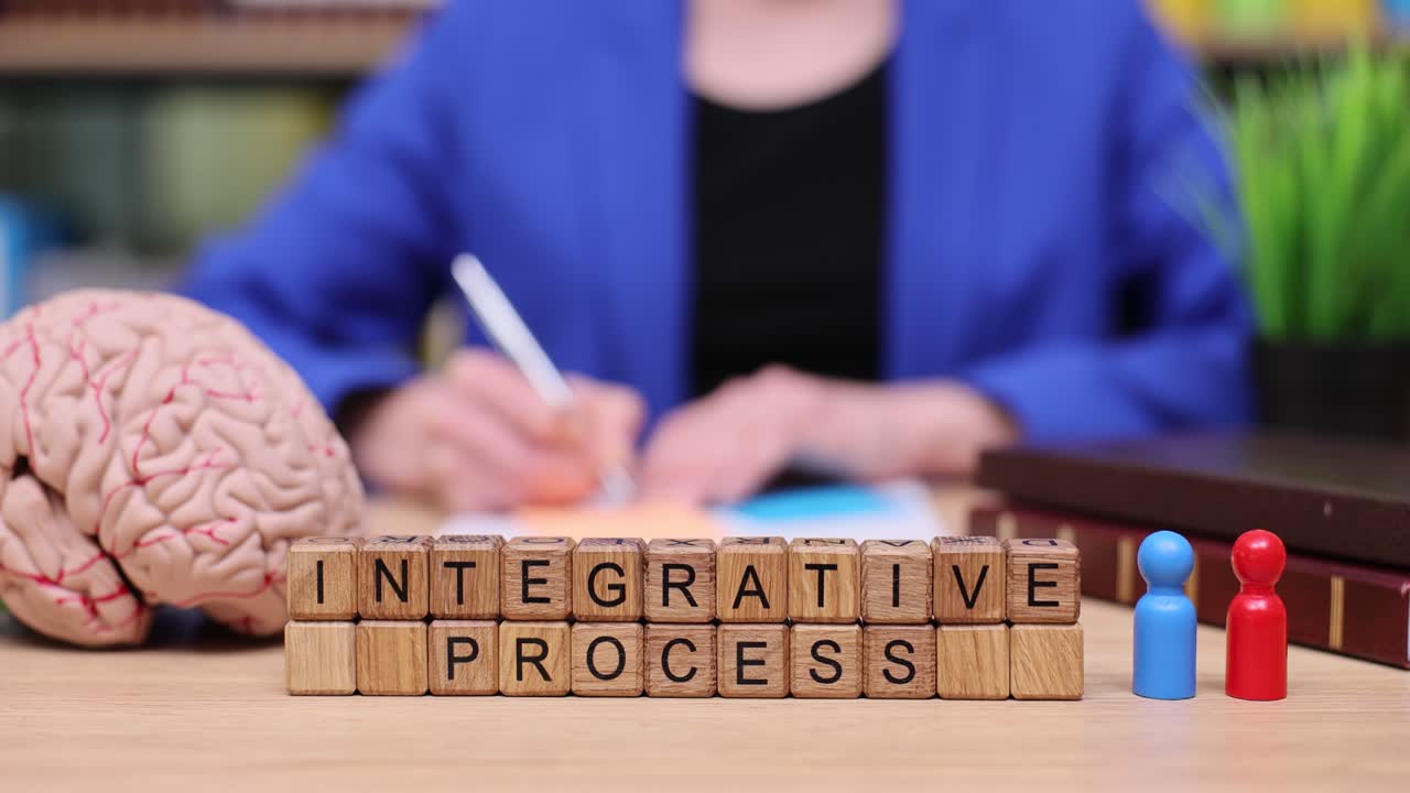 Integrative Process Concept with Brain Model