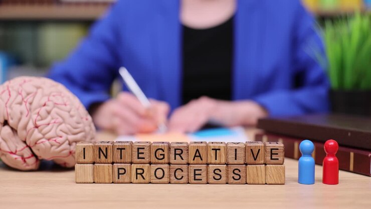 Integrative Process Concept with Brain Model