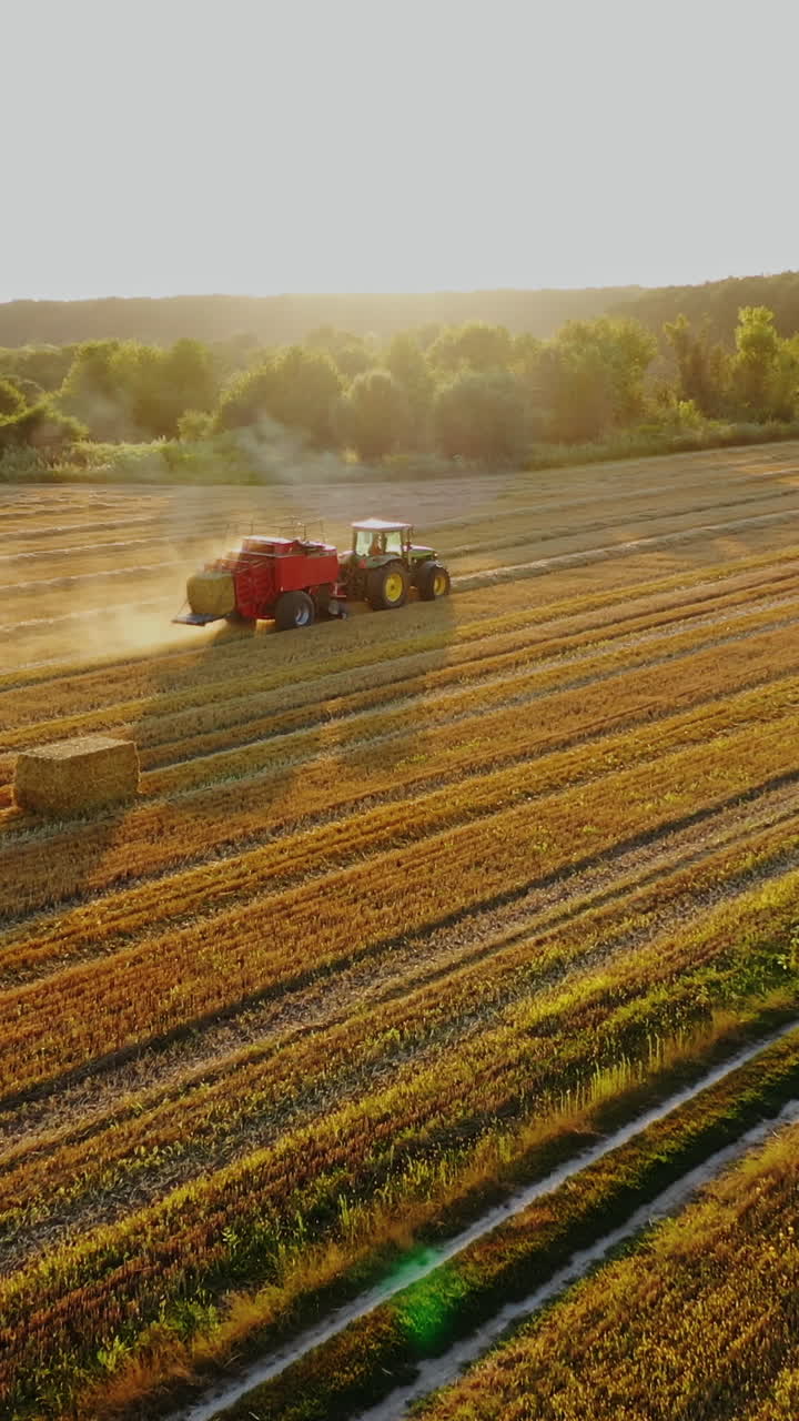 Tractor is collecting dried grass on the beautiful field background. Agricultural machine at seasonal works in summer. Motion camera forward. Vertical video