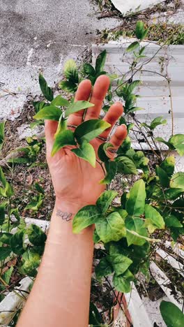 woman holding plants with a tattoo