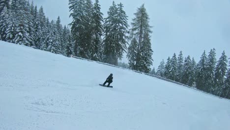 a teenager snowboarding downhill in snow paradise