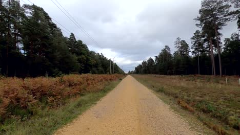 a pan of a gravel road in the woods