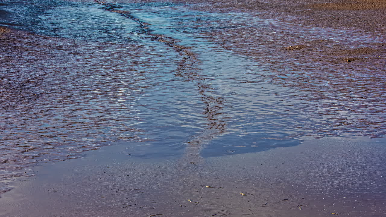 조수 웅덩이에서 물이 빠져나와 양식 어업 생산에 물고기를 모으기 위해 뒤에 남겨둔다 - 시간 경과