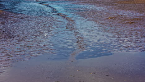 Water-draining-from-a-tidal-pool-leaving-fish-behind-to-be-gathered-in-a-aquaculture-fish-farming-production---time-lapse