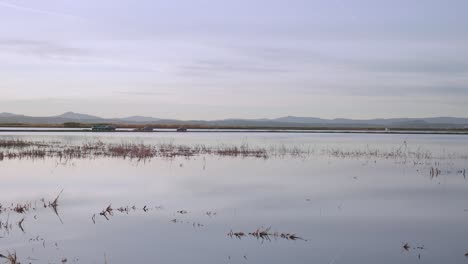 Ruhiger-Blick-Auf-Einen-Flachen-See-Mit-Einigen-Autos,-Die-Sich-Langsam-Am-Horizont-Bewegen