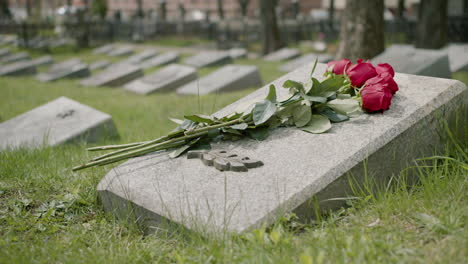 Nahaufnahme-Von-Roten-Rosen-Auf-Grabstein-Auf-Einem-Friedhof