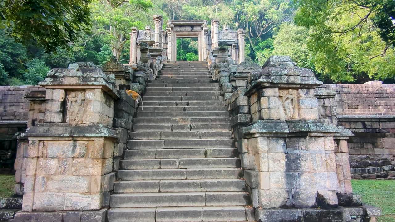 Scenic pan up of ancient stone stairway and ruins of historical palace at Yapahuwa Rock Fortress in Sri Lanka