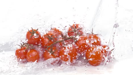 fresh water splash on red cherry tomatos. shot on super slow motion camera 1000 fps