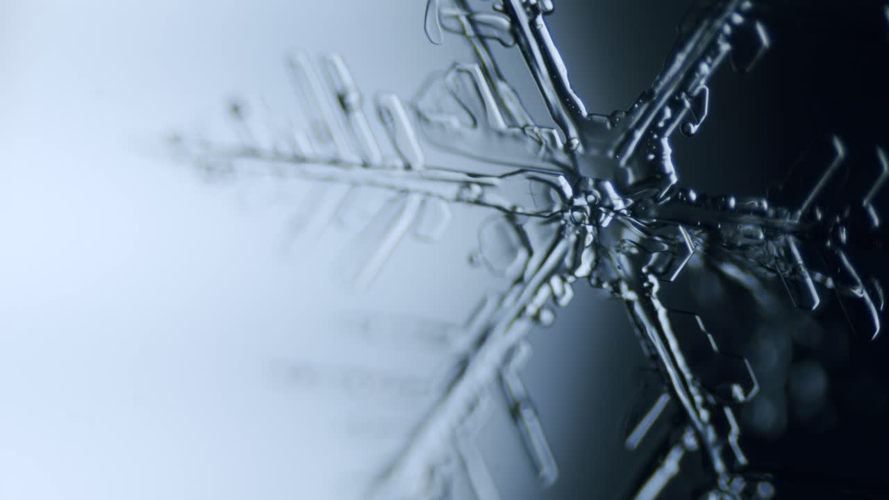 снежинка ледяной кристалл звездчатый дендрит под микроскопом