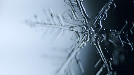 snowflake ice crystal stellar dendrite under microscope