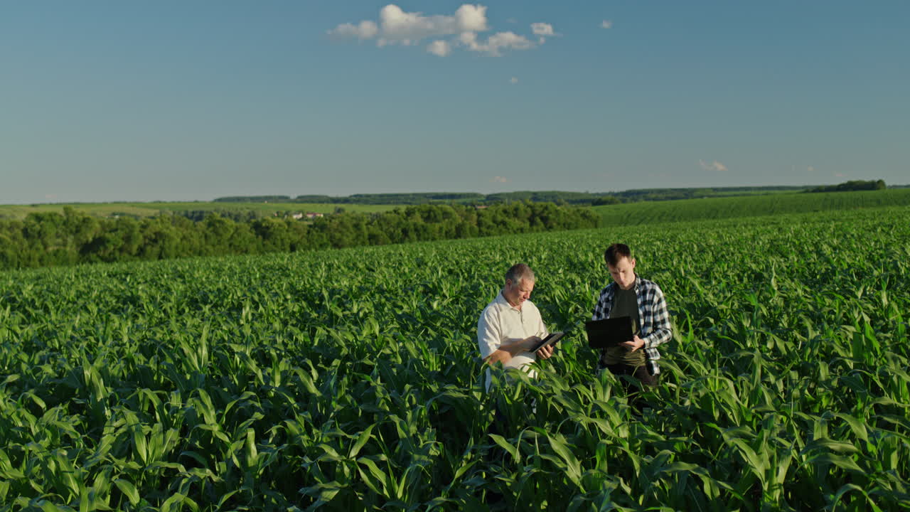 agricultores inspeccionando el campo de maíz con tecnología
