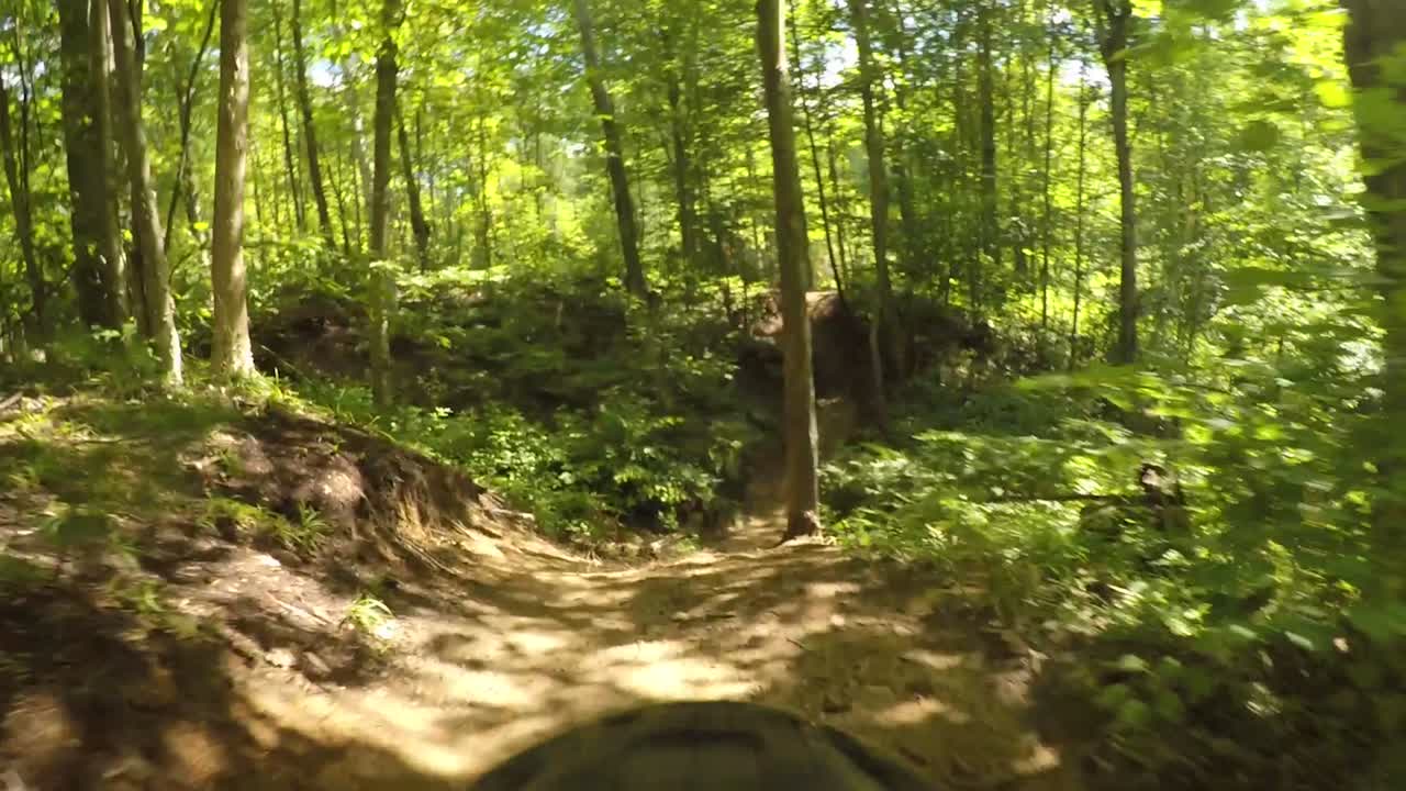 Closeup of a wheel spinning quickly down a forest path.