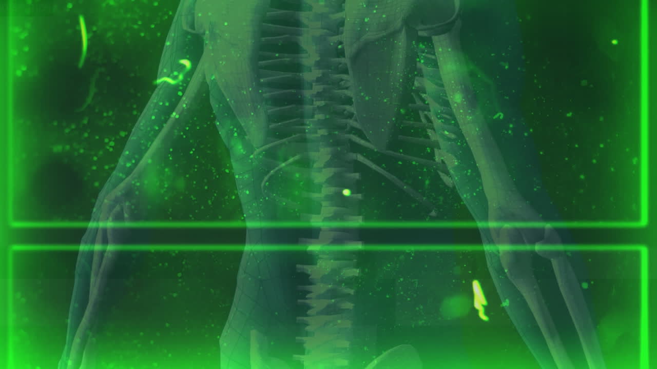 고통받는 초록색 배경 위에서 회전하는 인간 골격의 애니메이션