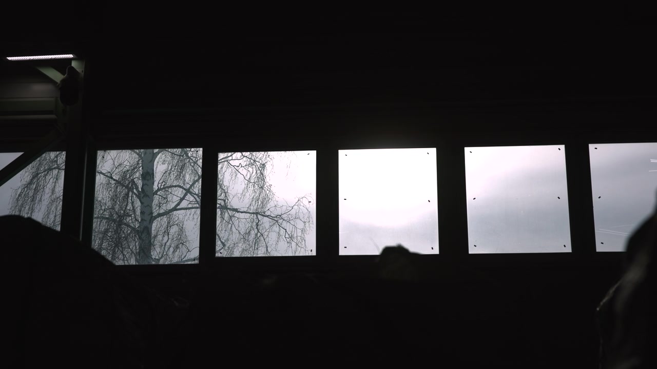 Train Window Silhouette Passenger Looking Outside, Overcast Sky Framed By Bare Tree Branches Beyond Glass