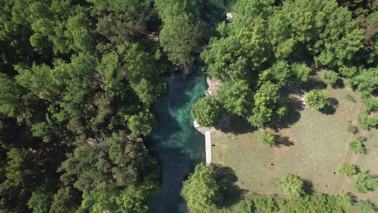 Veduta aerea di un fiume con alberi
