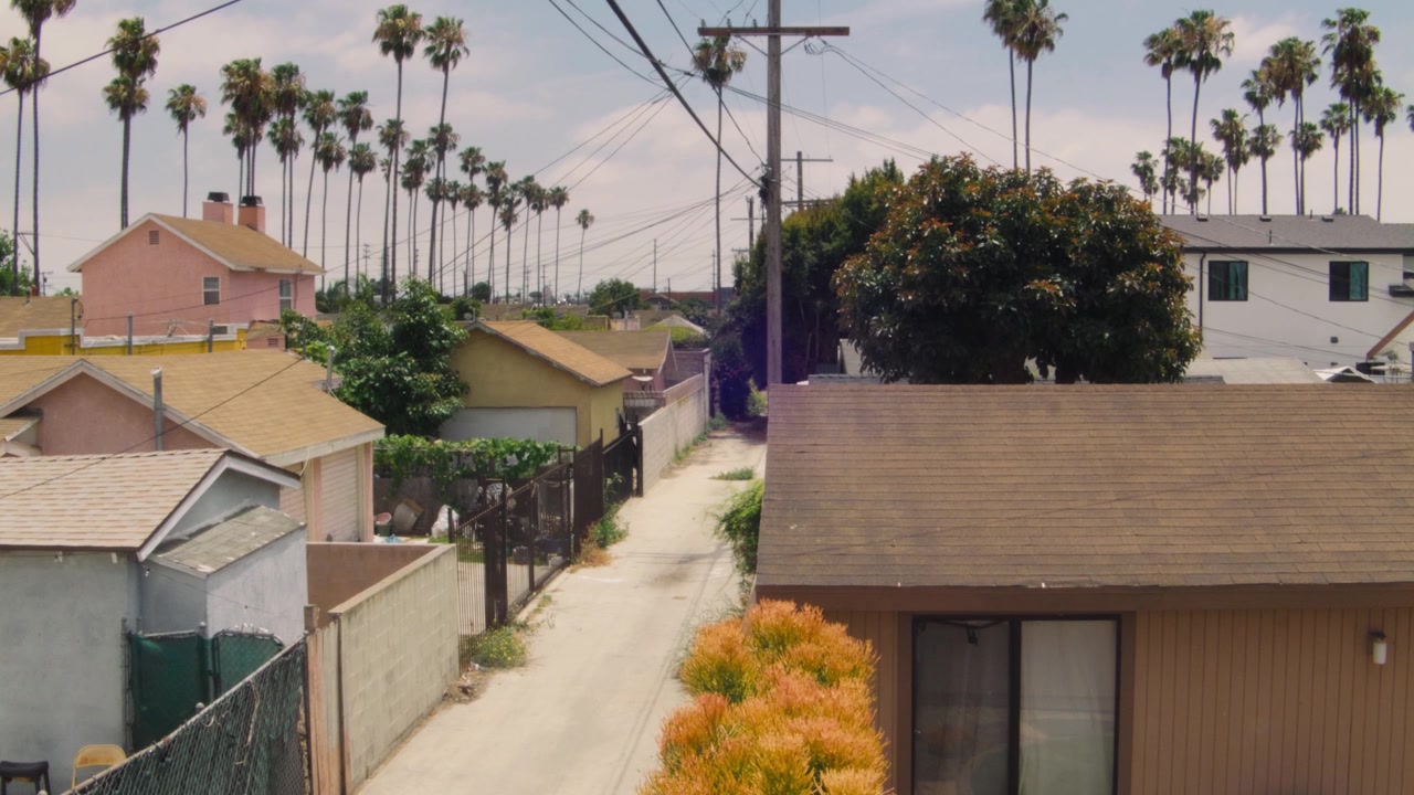 Vicolo posteriore di Los Angeles con palme visibili sopra, scatto di una strada residenziale urbana soleggiata di giorno