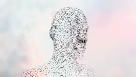 animación digital de un modelo de rostro humano girando contra un fondo blanco