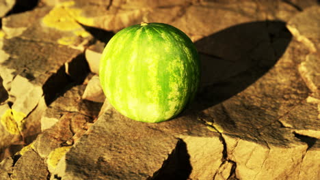 watermelon fruit berry on rocky stones