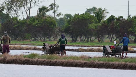 Tractores-De-Arado-Que-Operan-En-Un-Campo-De-Arroz