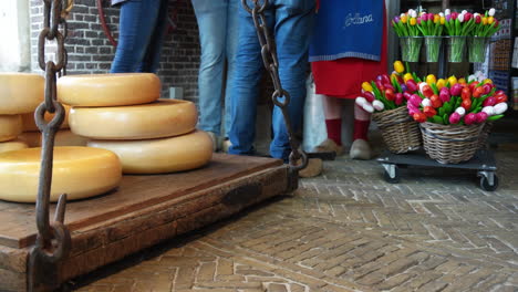 dutch gouda cheese and colorful tulips displayed at goudse waag with cropped portrait of people buying, famous gouda market in the netherlands