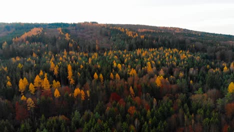 Vuelo-Sobre-El-Bosque-De-Colores-Otoñales-Por-La-Mañana