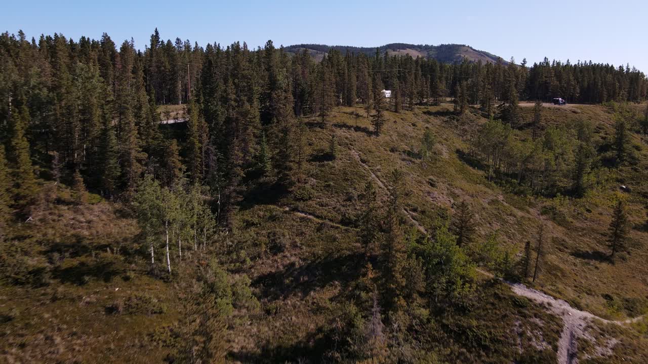 bosque boreal seco al borde de un valle empinado en un día soleado en alberta, canadá