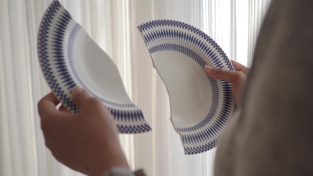 Person Holding Two Halves of a Broken Decorative Plate