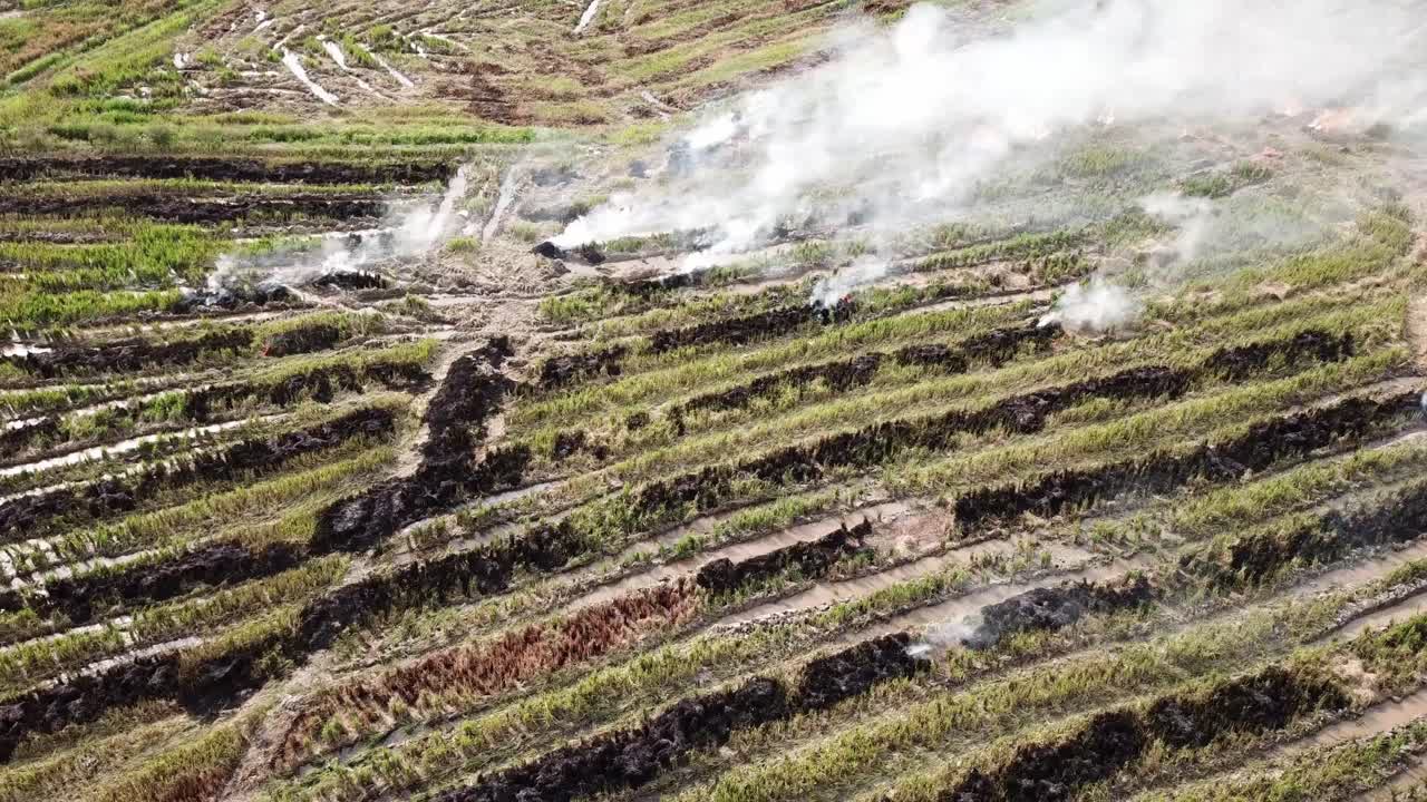 el fuego aéreo abierto ocurre en la granja de arroz para limpiar el desperdicio de la cosecha.