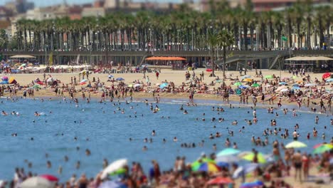 cinemagraph of beaches of barcelona city.time lapse.tilt-shift effect.4k.