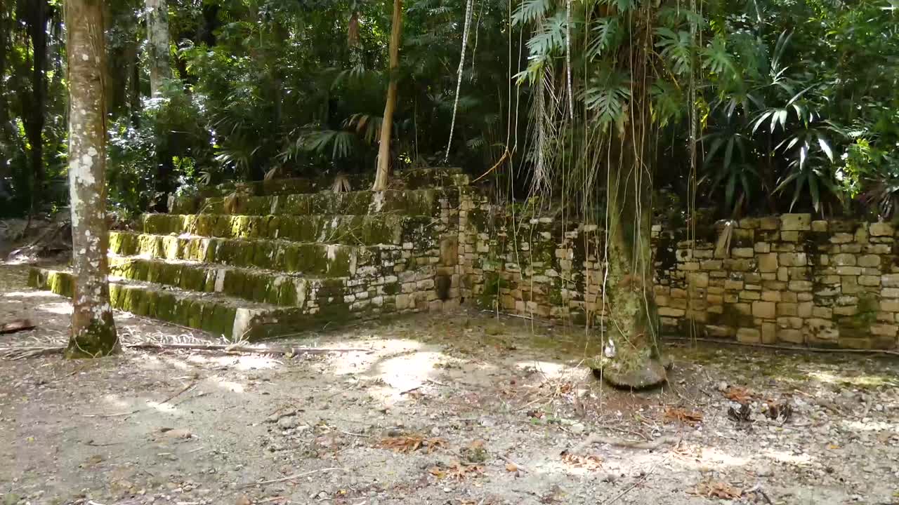 denso bosque lluvioso que crece sobre las ruinas mayas en el sitio maya de kohunlich - quintana roo, méxico