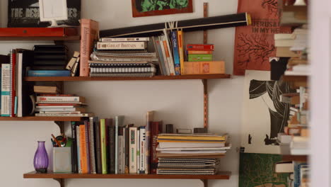 bookshelves in a quaint vintage apartment downtown