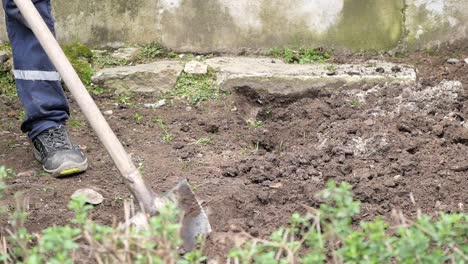 person digging in garden