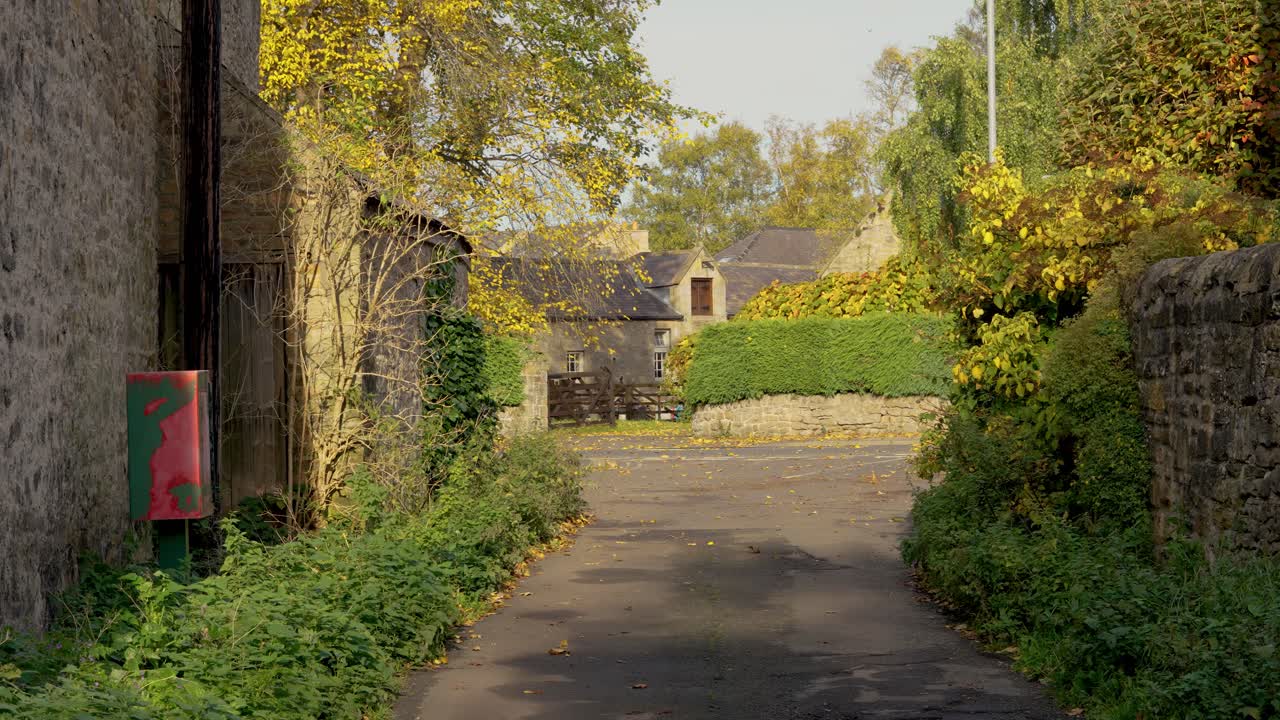 Sunny autumn alley with rustic stone walls and green foliage under a clear sky
