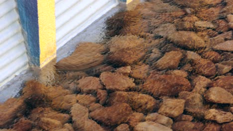 muchas rocas decorativas bajo la superficie de agua clara