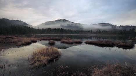 Calm,-foggy,-cloudy-afternoon-in-boreal-forests-near-Jonsvatnet-lake-near-Trondheim,-Norway