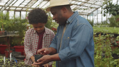 african american farmer teaching son how to work in greenhouse