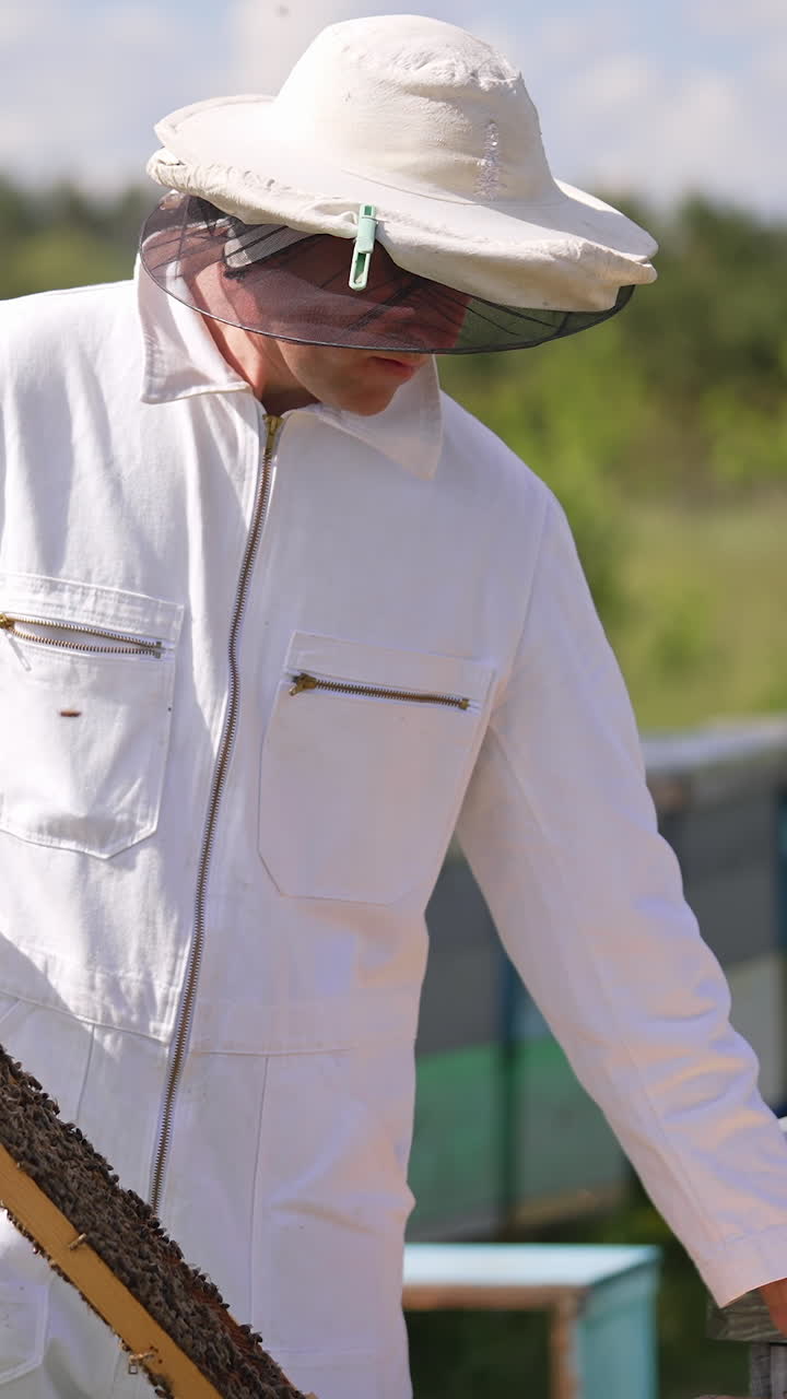 Male beekeeper inspecting beehive frames. Apiculturist in protective hat and uniform working in summer apiary