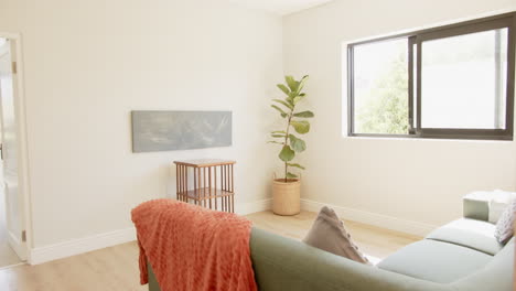 modern living room with green sofa, potted plant, and orange blanket on chair, at home