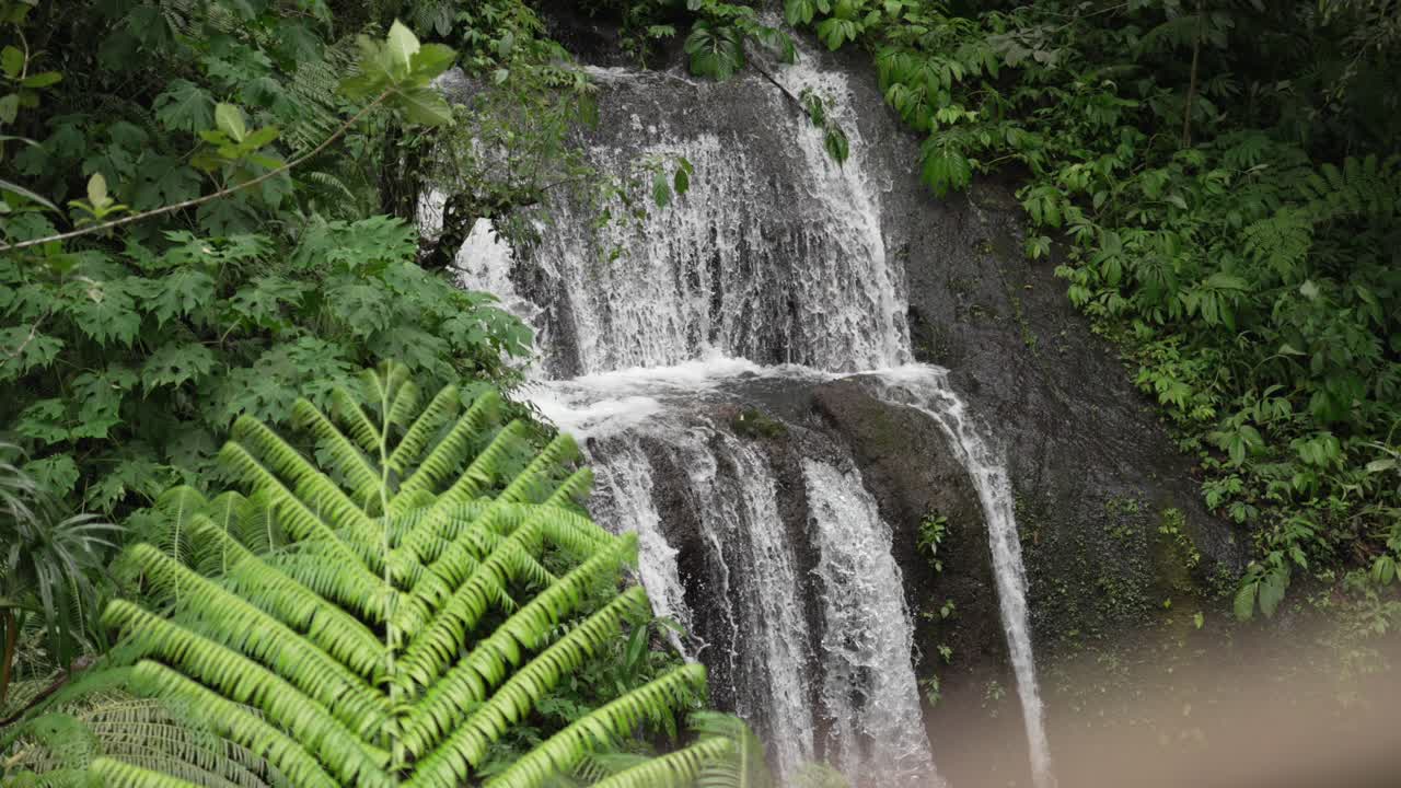 Munduk waterfall Bali forest jungle water cascade Banyumala nature Indonesia, close-up