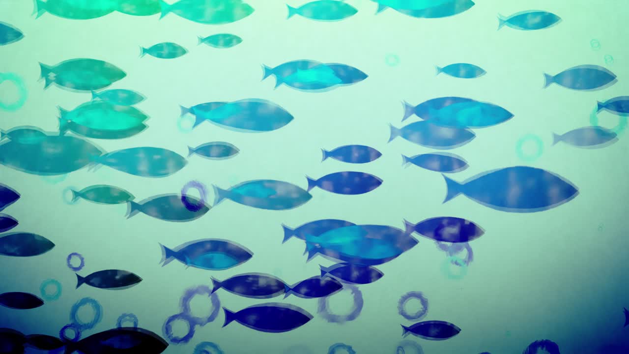 물속의 많은 물고기 [루프]