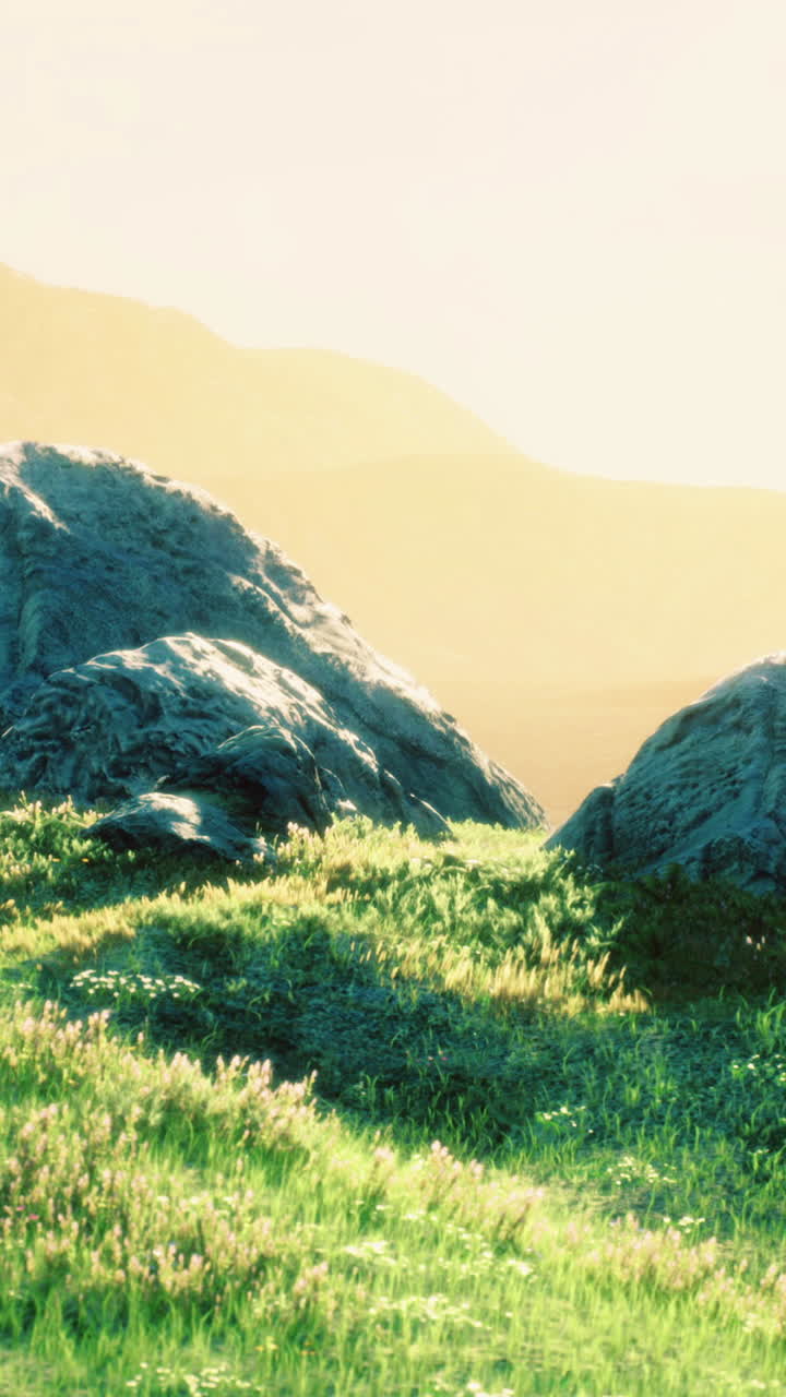 Scenic view of grassland with rocks under soft sunlight at dawn