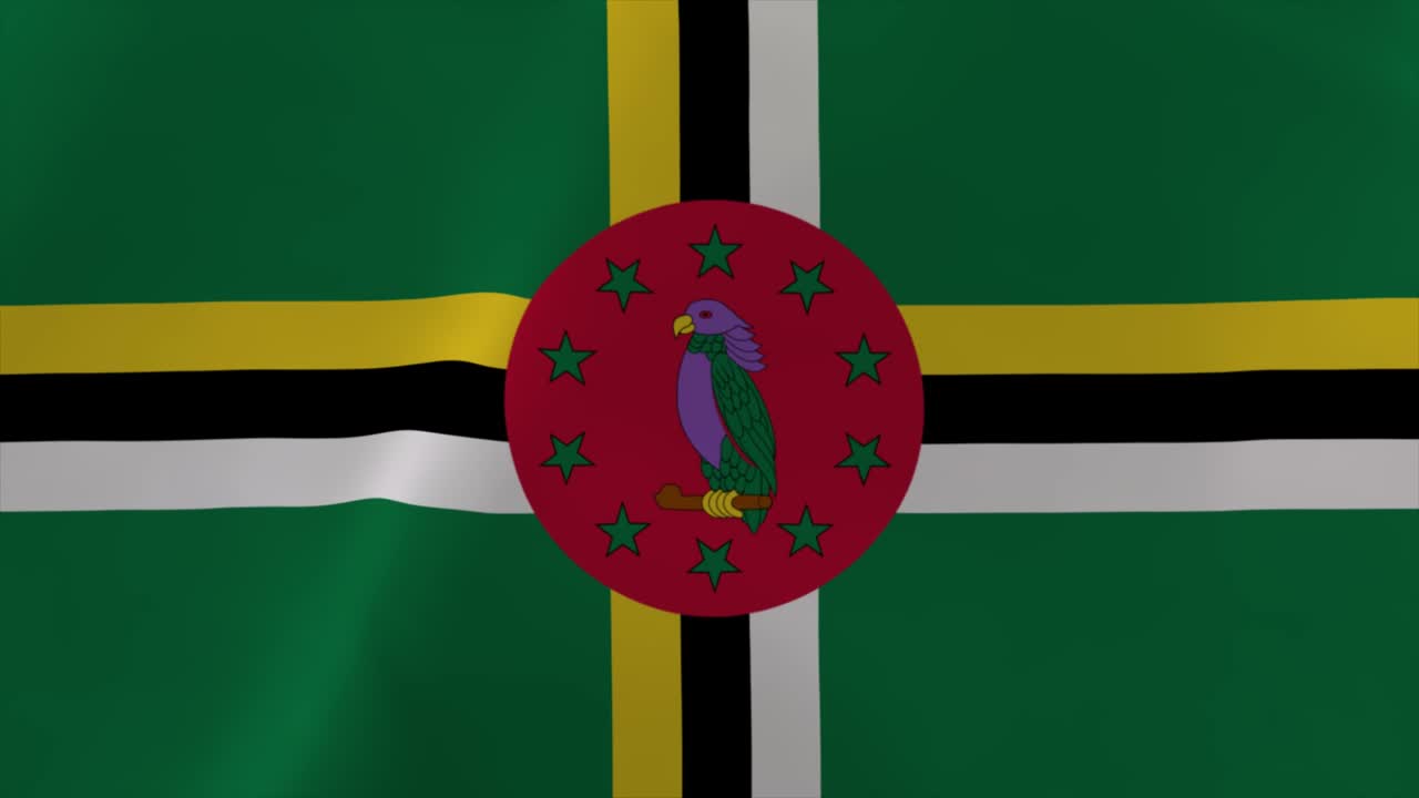 dominica agitando la bandera 4k con fondo de papel tapiz en movimiento