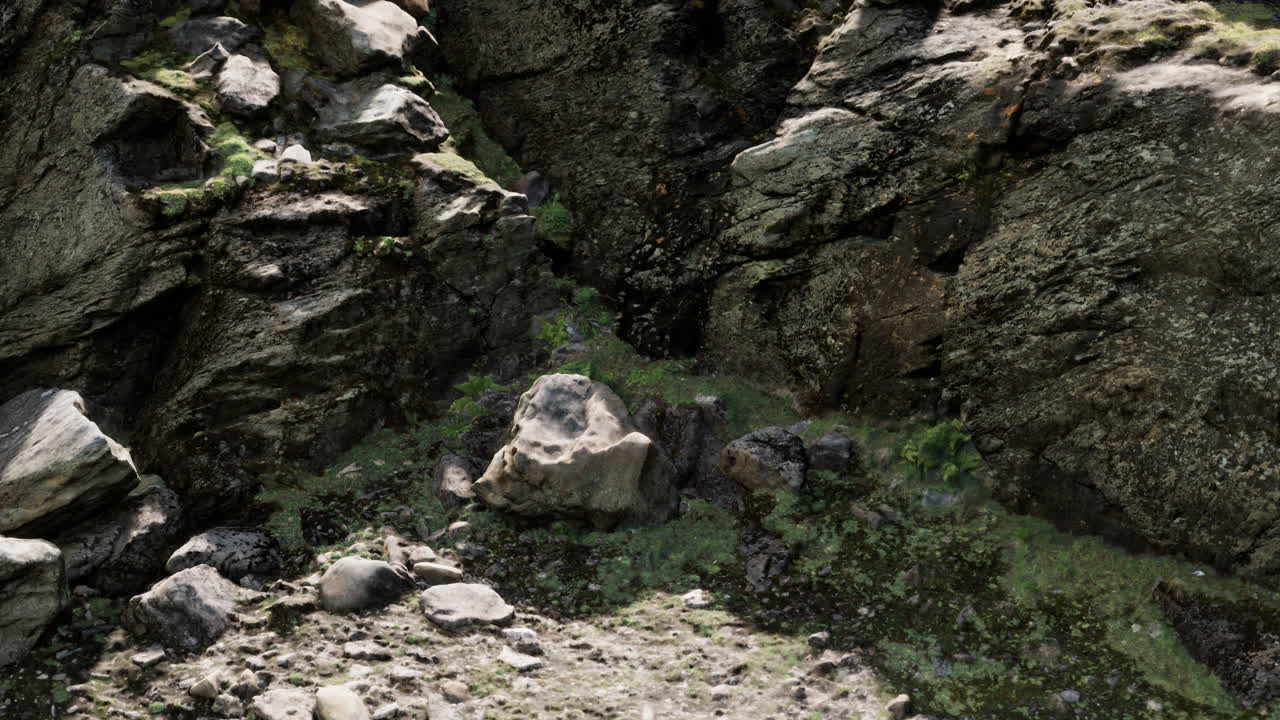 바위 돌 형성이 가까이 있습니다.