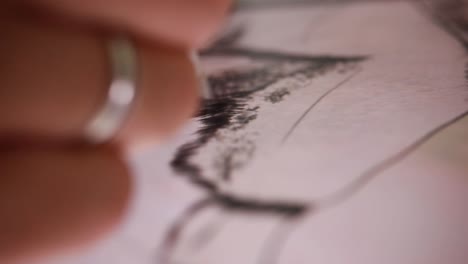Detail of drawing making of an animal on ipad by artist