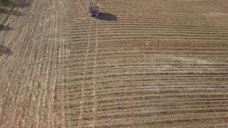 Flyover-shot-revealing-harvesting-machine-working-on-corn-field