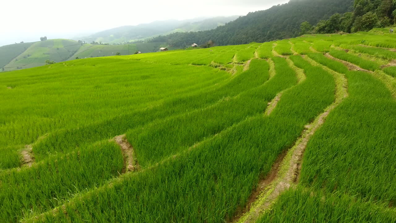 terraço de campo de arroz em terras agrícolas de montanha.